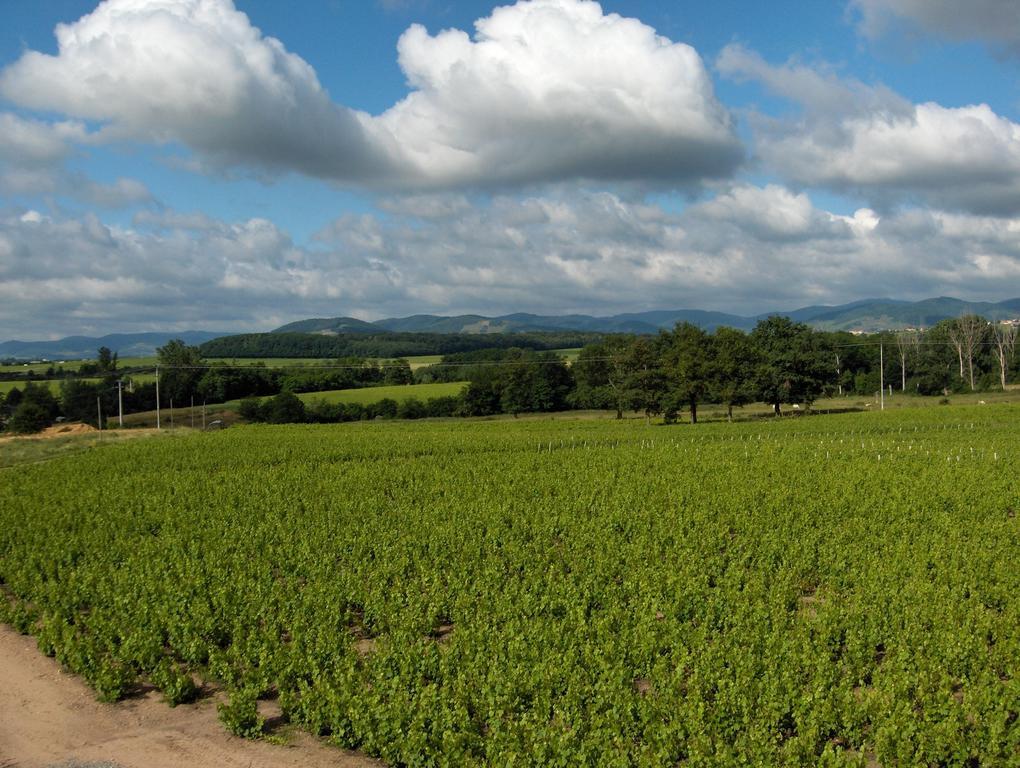 Coeur De Beaujolais Apartment Corcelles-en-Beaujolais Екстериор снимка